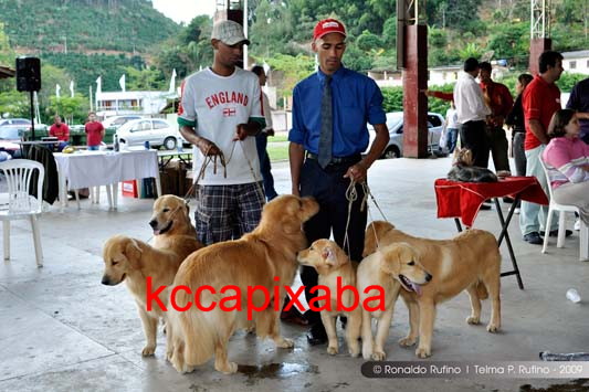Clique sobre a foto para fechar